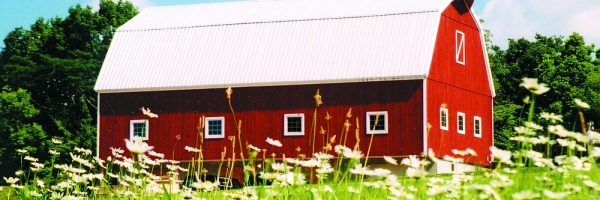 Timber Frame Barn by Hearthstone